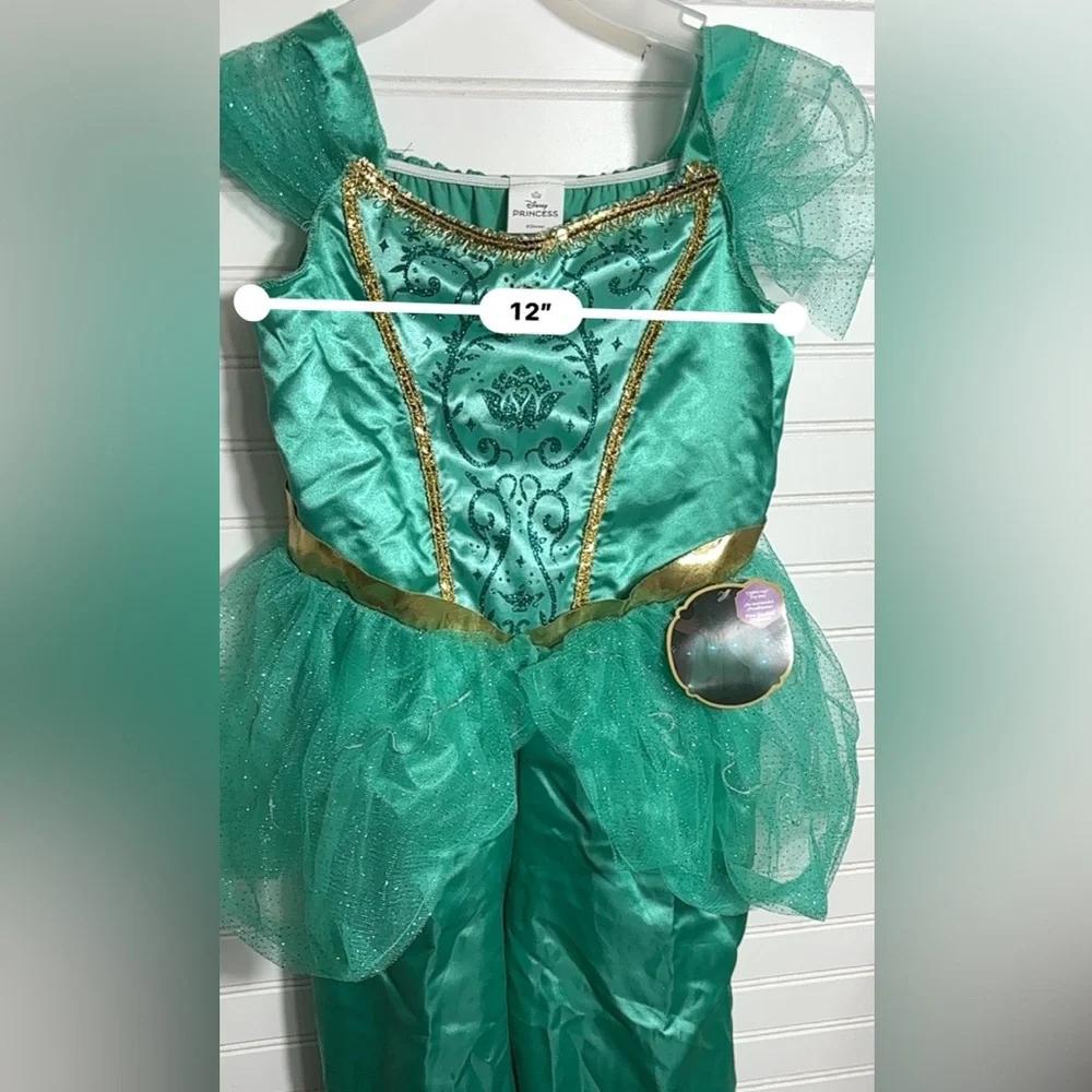 Disney Princess Jasmine Costume